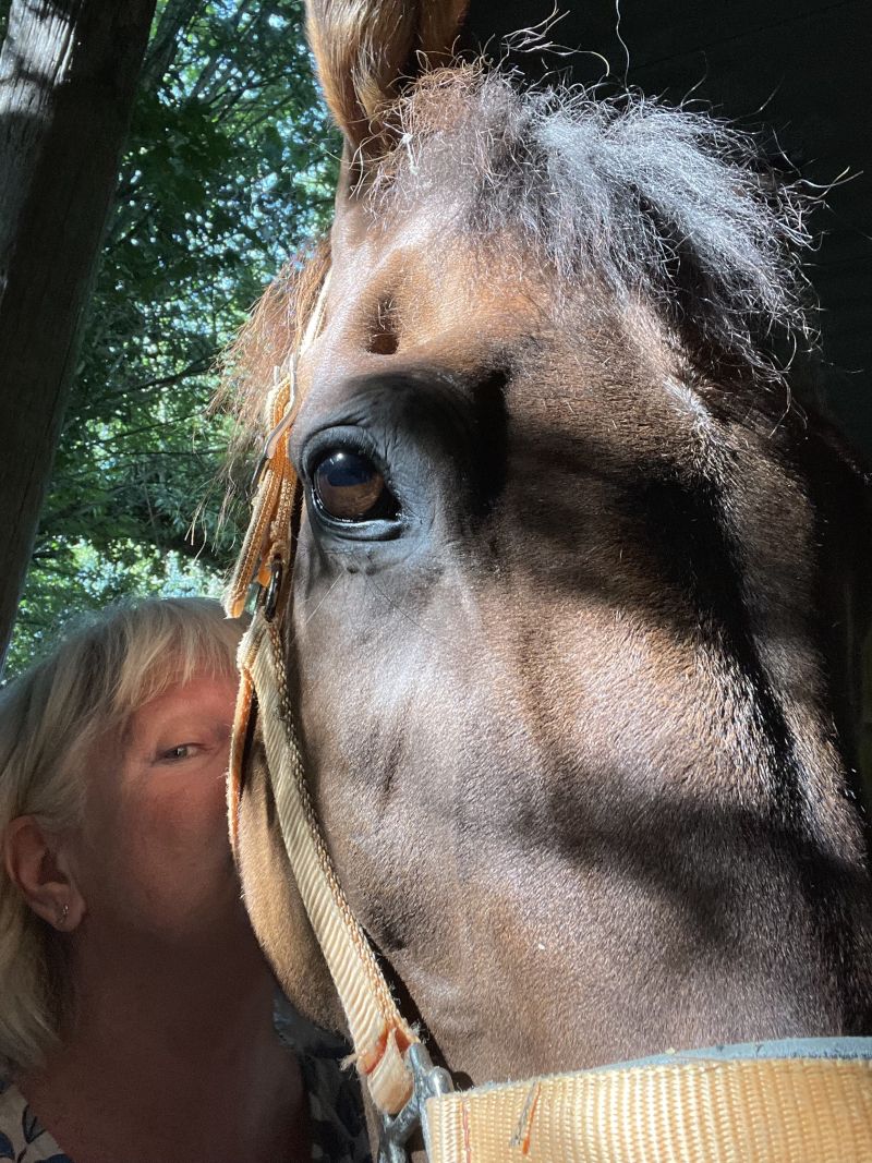 RaceHorseLover