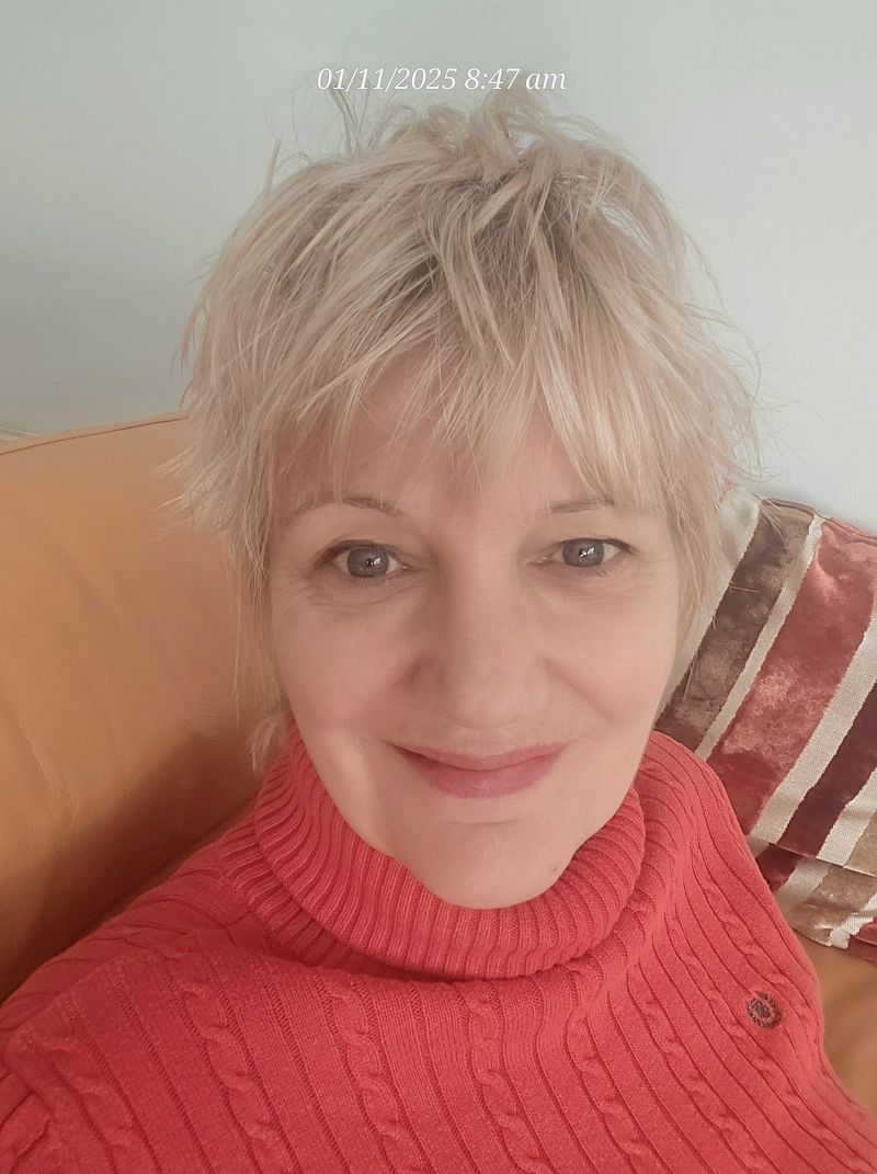 shouldwouldcould shouldwouldcould